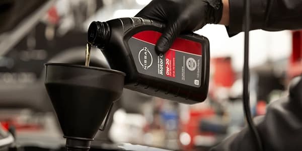 Oil Change Difference